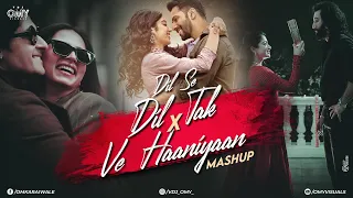 Dil Se Dil Tak X Ve Haaniyaan X Satranga | Omy Visuals | Bollywood Mashup | 2024 Love Mashup