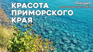 Красота Приморского края, море, утро, солнце. Ливадия. куда поехать отдохнуть. #блогВладивосток