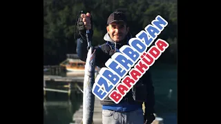 Gündüz Baraküda Avı | Barracuda | Sphyraena