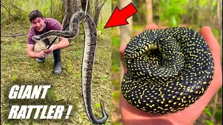 My LARGEST Rattlesnake Ever? - Tin Flipping Louisiana!