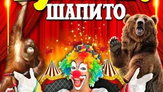 🎪АКТ 2-воздушные гимнасты!!!