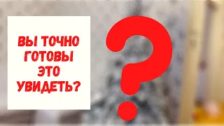 VLOG:ХАРЬКОВ 19.11// ОСТОРОЖНО❗️ЭТО ВИДЕО МОЖЕТ ВЫЗВАТЬ РАЗНЫЕ ЭМОЦИИ