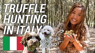48 Hours in Tuscany: Truffle Hunting and Fine Wine 🇮🇹