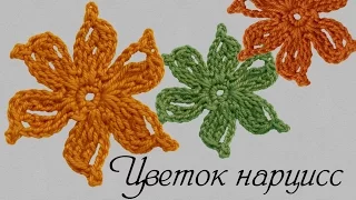 Цветок крючком  Цветок нарцисс