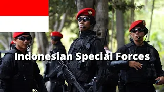 Everything about Indonesian Special Forces