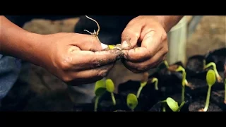 Rain Forest Hero Plants Over 30,000 Trees to Save the Amazon | Short Film Showcase