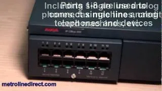 metrolinedirect.com: Avaya IP500 Analog Phone 8