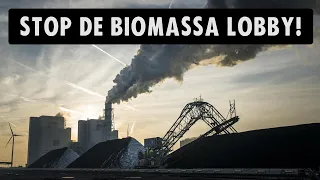 Stop de biomassalobby