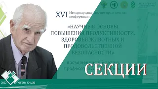 Конференция 2022 - Ульянов А.Н. - Секции