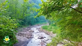 8 Hours Relaxing Nature Sounds - River Noise and Birdsong