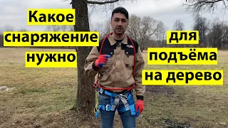 Что нужно чтоб забраться на дерево.