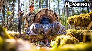 Vermont and New Hampshire Opening Day Turkey Hunt