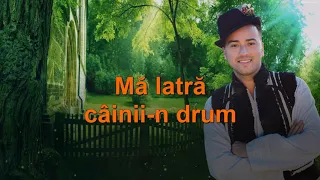 Alexandru Brădățan - Când mă latră câinii-n drum. 🄺🄰🅁🄰🄾🄺🄴