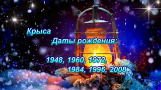 ВОСТОЧНЫЙ ГОРОСКОП 2019 - КРЫСА