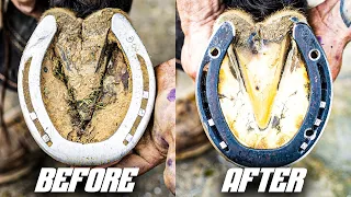 Satisfying Back Hoof Restoration ASMR