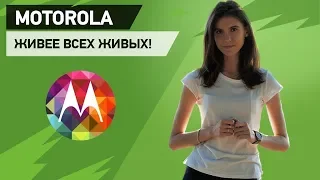 Смартфоны Motorola. Какой выбрать.