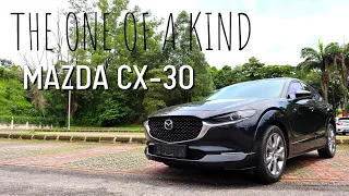 DO YOU PAINT YOUR MAZDA CX-30 BODY/PLASTIC CLADDING?
