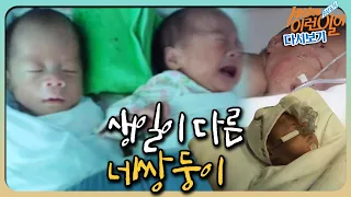 [순간포착 세상에 이런 일이 레전드/SUB] ‘생일이 서로 다른 네쌍둥이’ 풀버전 다시보기#순간포착세상에이런일이 #WhatonEarth  #SBSstory