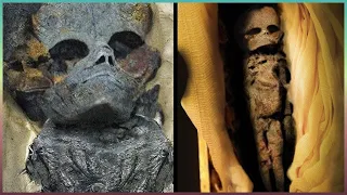 W Grobowcu Tutenchamona odkryto coś dziwnego