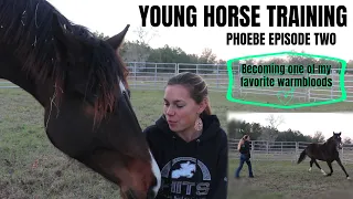 Young Horse Training- Phoebe Episode Two