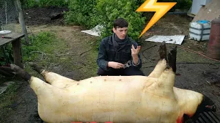 ЗАБОЙ с БЕДОЙ или ток, который вышел из под КОНТРОЛЯ. ЭКСКЛЮЗИВ/Electrocution of a PIG with an error