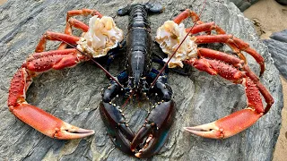 Amazing Underwater Foraging - Huge Lobster and Crab diving with beach fire Cookup | The Fish Locker