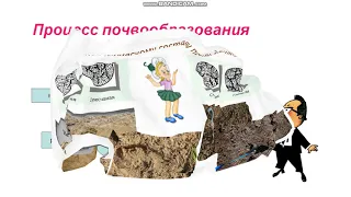 География 7 класс. Тема: Строение и свойства почвы