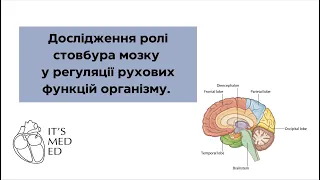 Фізіологія. Дослідження ролі стовбура мозку у регуляції рухових функцій організму.