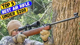 Best Air Rifle Under $200 in 2024 - (Top 5 Expert Picks)