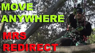 3 Easy MRS Redirect Methods for Tree Climbers