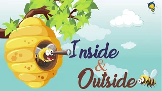 Inside and Outside | Comparison for Kids | Learn Pre-School Concepts HIVE TV