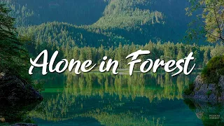 [7 Hours] Healing Forest Sounds with Gentle Piano - Stress Relief, Meditation, Deep Sleep