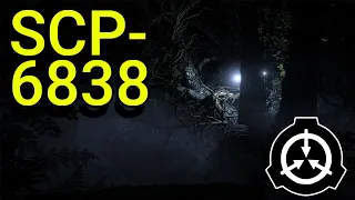 SCP-6838 | Light in the Woods