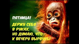 ☕️ Улыбнись, сегодня Пятница! Удачной пятницы и хорошего дня.