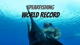 Spearfishing World Record - Blue Marlin 220 KG (500 LB)