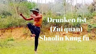 Drunken fist (Zui quan) #shaolin #kungfu