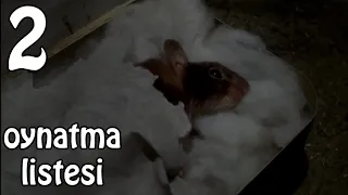 Zor Hedef Fare Türkçe Dublaj 100 Like? Full Film 2.Kısım (Mouse Hunt)