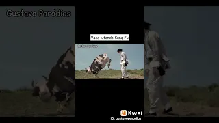 vaca lutando Kung Fu