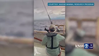 Yo-Yo Ma plays music for whales as they voyage with the Hokulea