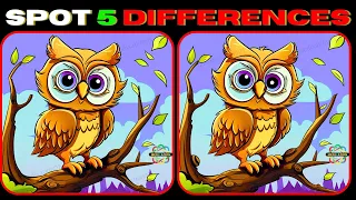 Spot The Difference : Can You Find All[ Find The Difference #41]
