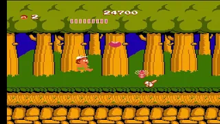 Adventure Island Area 1 Round 3 Y 4 (1986)