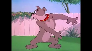 (THRID MOST POPULAR VIDEO) Tom and Jerry Classical Screaming Compilation (1940-1967)