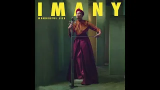 Imany - Wonderful Life (Yunus DURALI Remix)