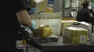 U.S. Customs And Border Protection: International Drug Mailing Fueling Opioid Crisis