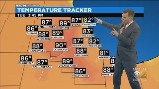 Chicago Weather: A Warm Tuesday