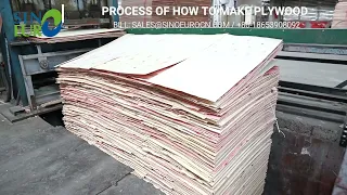 Process of How To Make Plywood Complete Plywood Production Line
