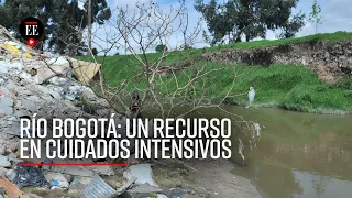 Río Bogotá: ¿Cómo ayudarlo para que deje de ser referente de contaminación?  - El Espectador