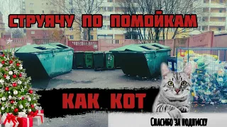 ЛУЧШИЕ НОВОГОДНИЕ НАХОДКИ НА МУСОРКАХ СПБ ПОД НОВЫЙ ГОД. #dumpsterdiving #помойки #мусорки