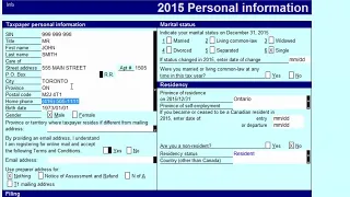 How to professionally file tax retun by ProFile Software.