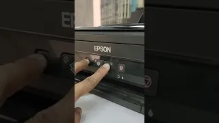 Epson ink reset error